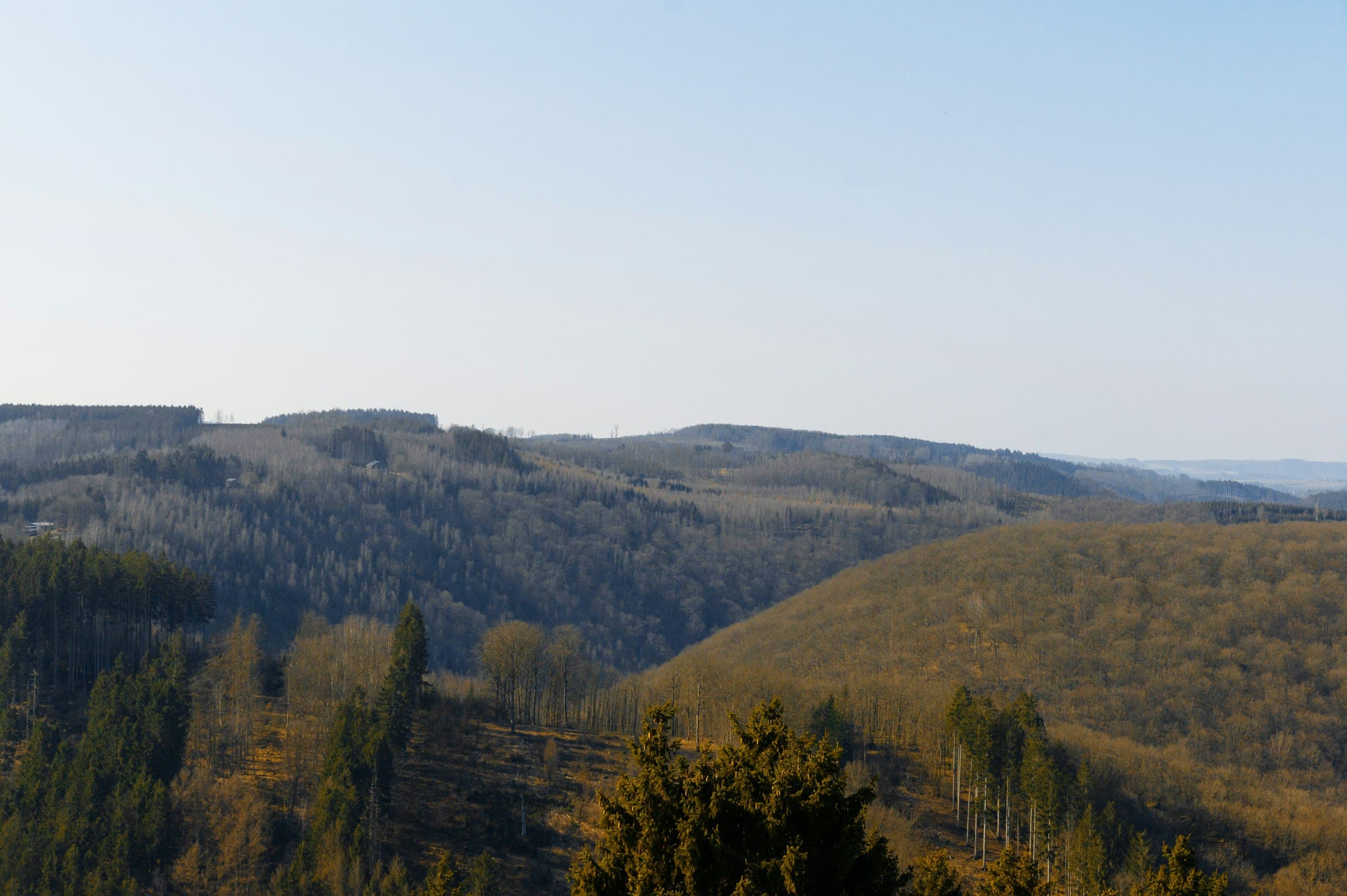 Rolling hills in the Ardennes