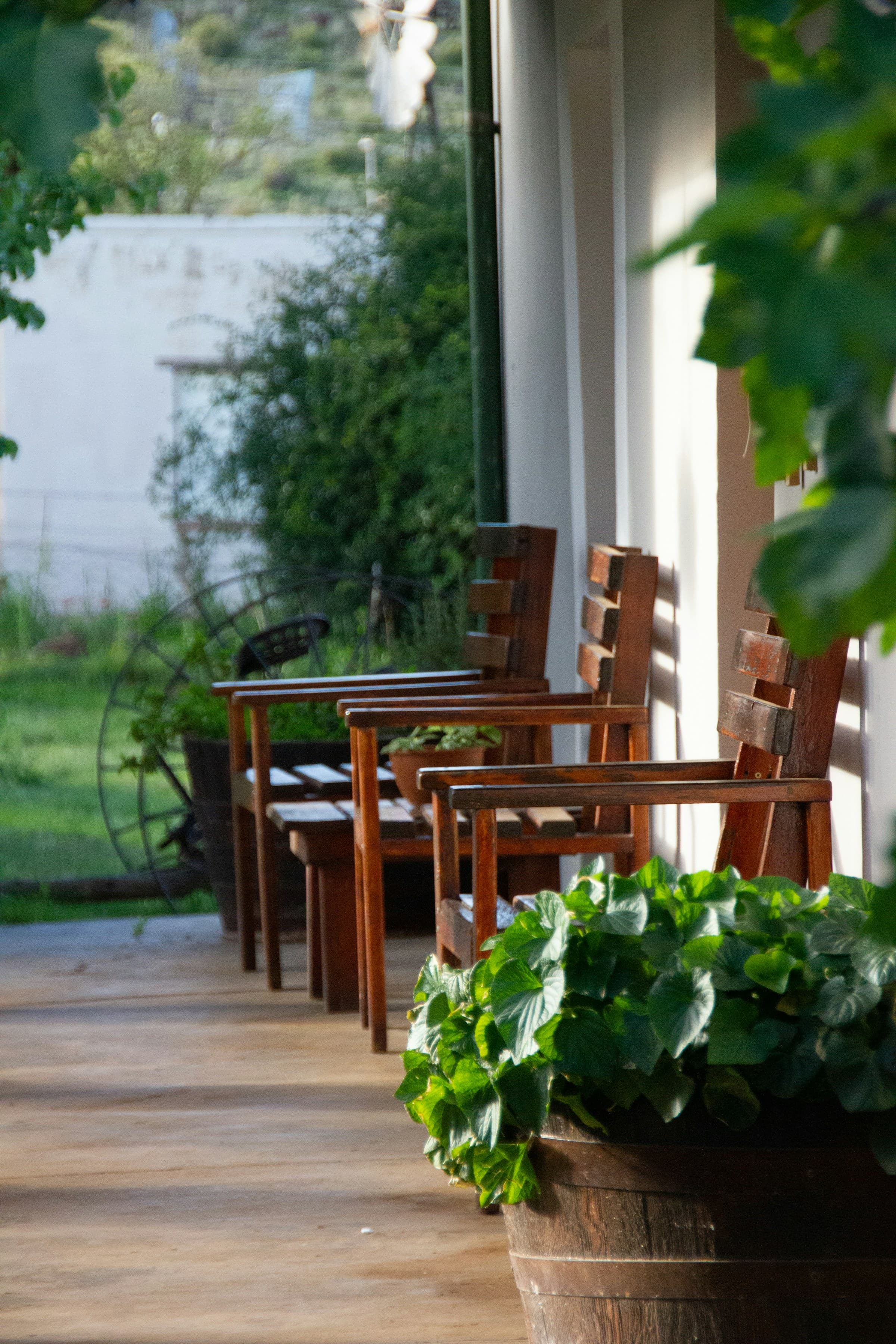 Veranda with chairs and plants