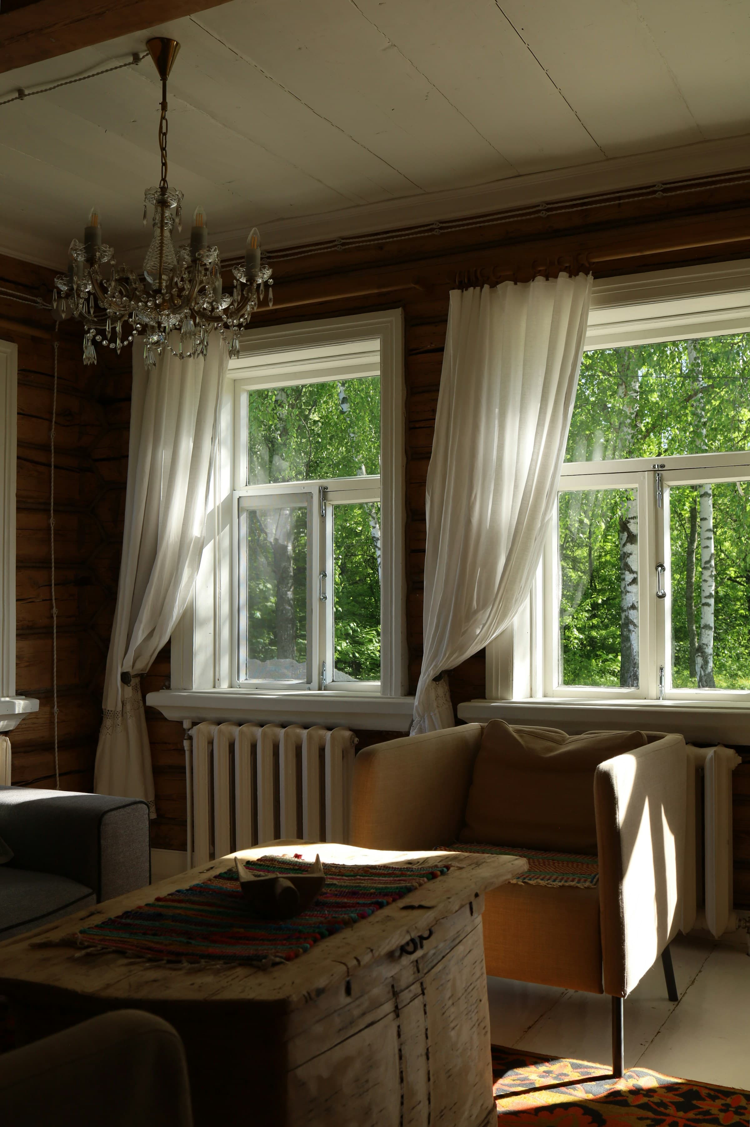 Sunny living room with wooden walls and large windows